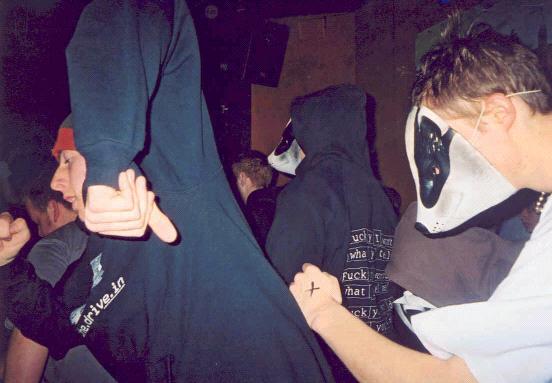 Here we see that rarest of species, Badgerius Skankius, the "skanking badger" in its natural habitat...